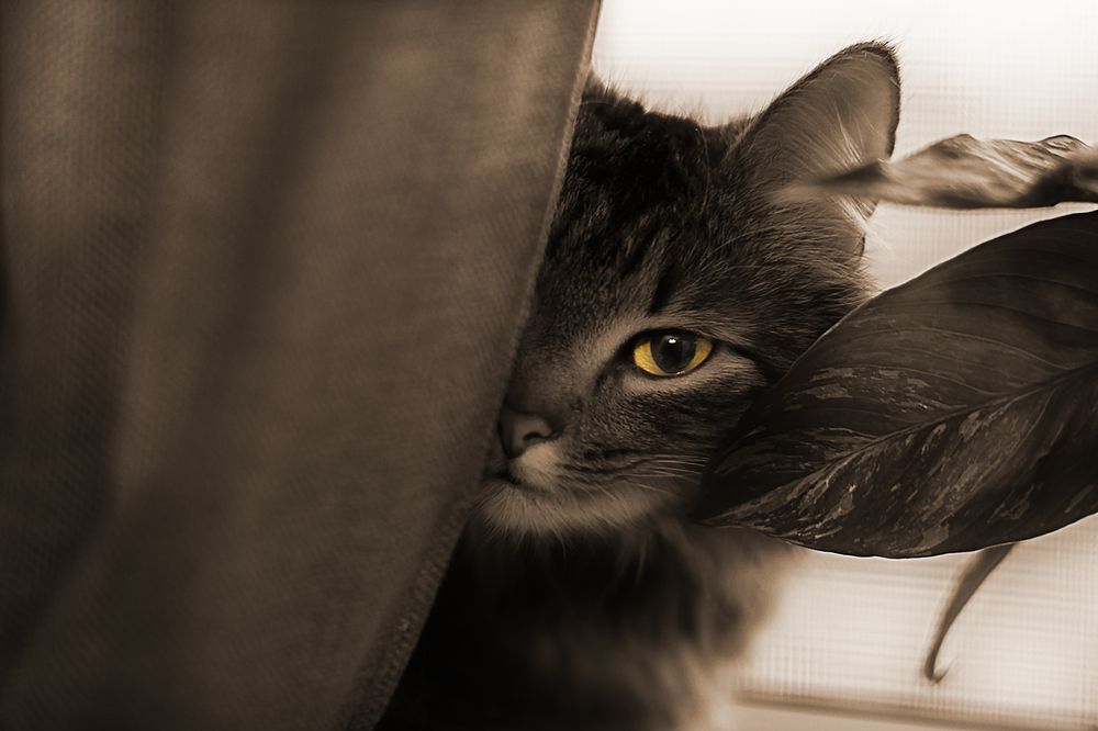 Photograph by Игорь Бессонов