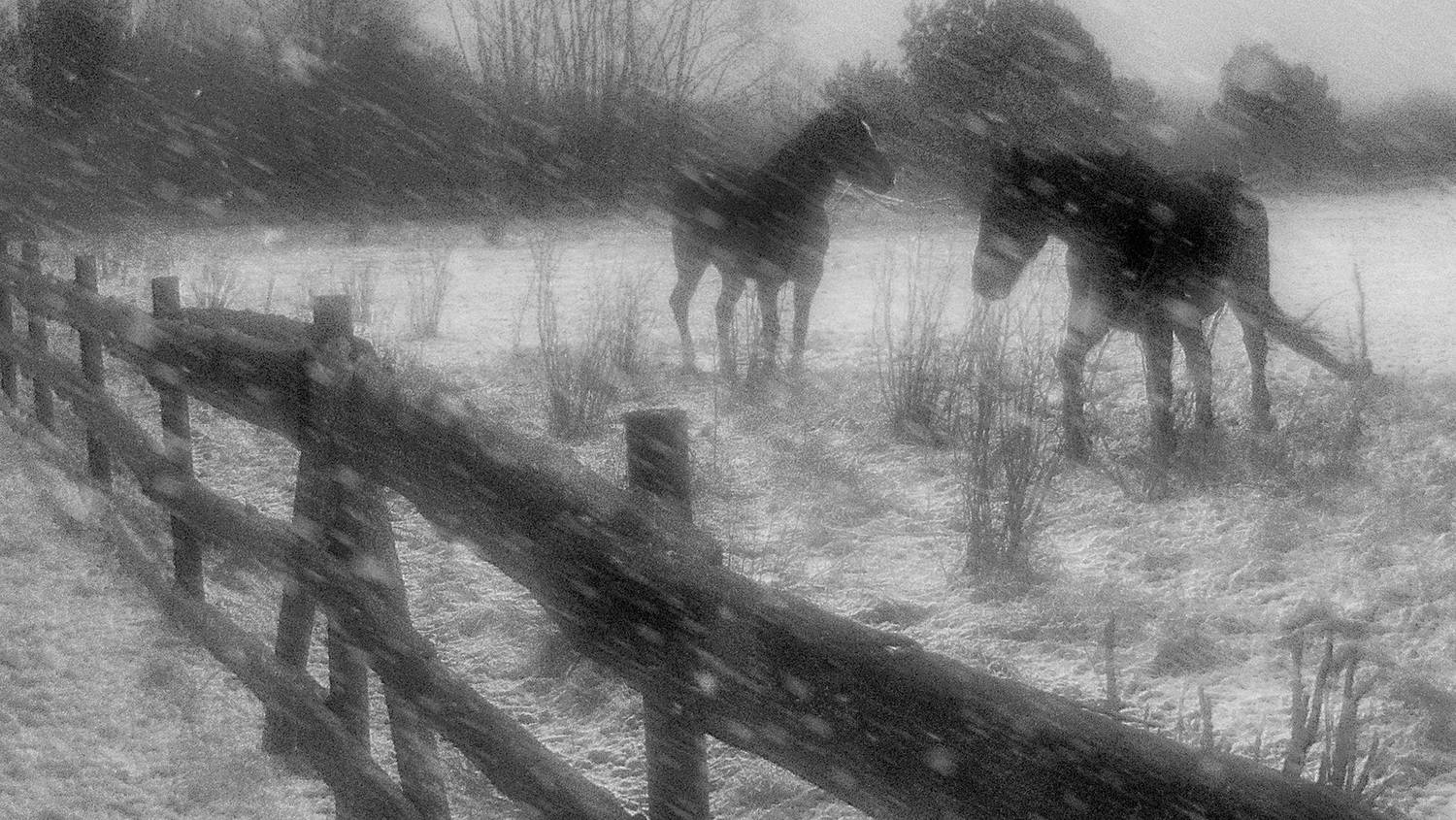 Первый снег.