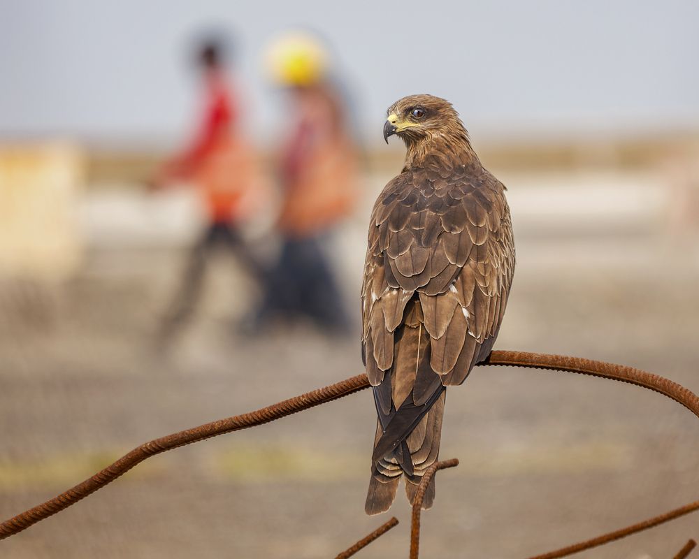 Photograph by Ashit Gandhi