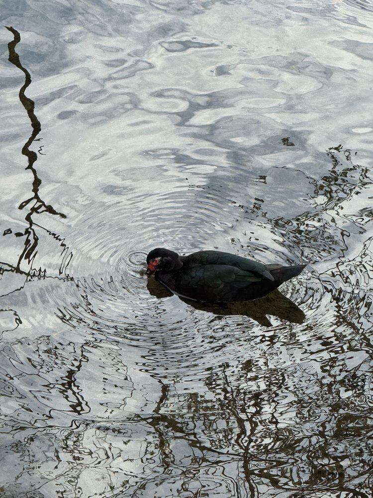 Photograph by Iuliia Zharikova