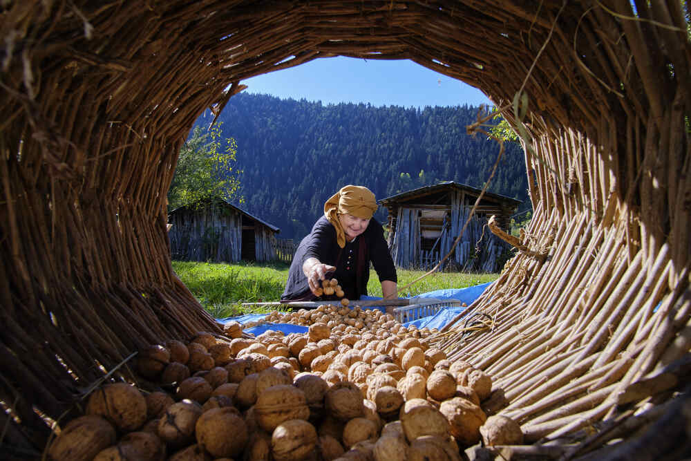 Photograph by OZHAN ARIOGLU