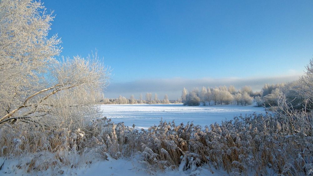 Photograph by Николай Агафонов