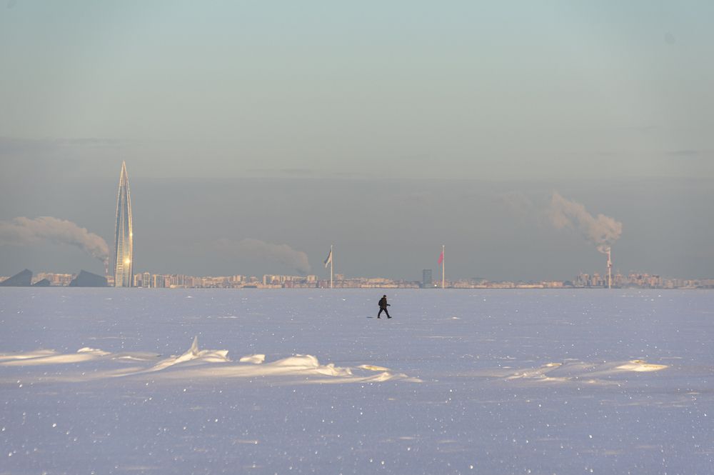 Photo #13334462