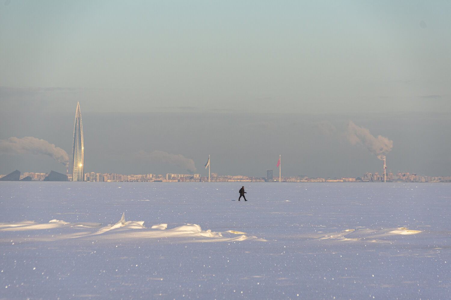 Photo #13334462
