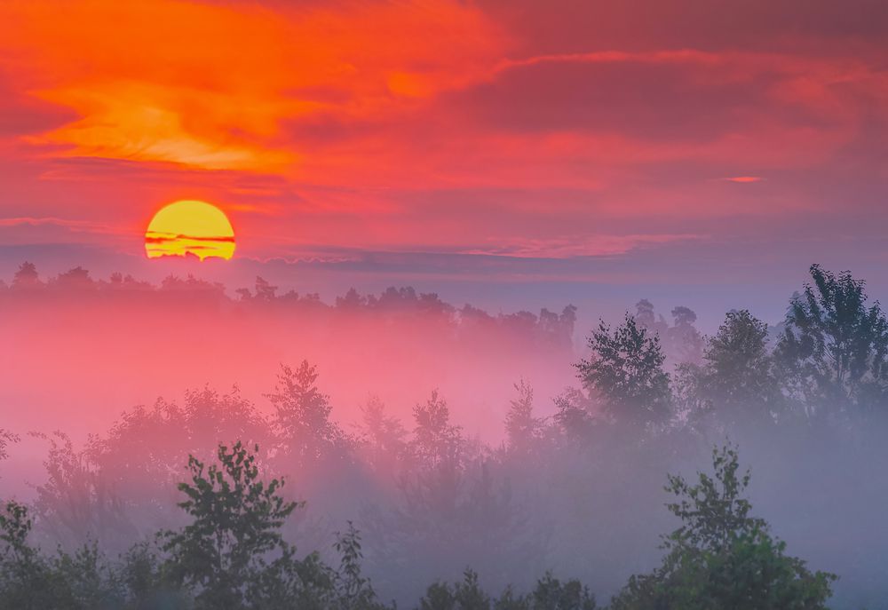 Photograph by Евгений Гонтов