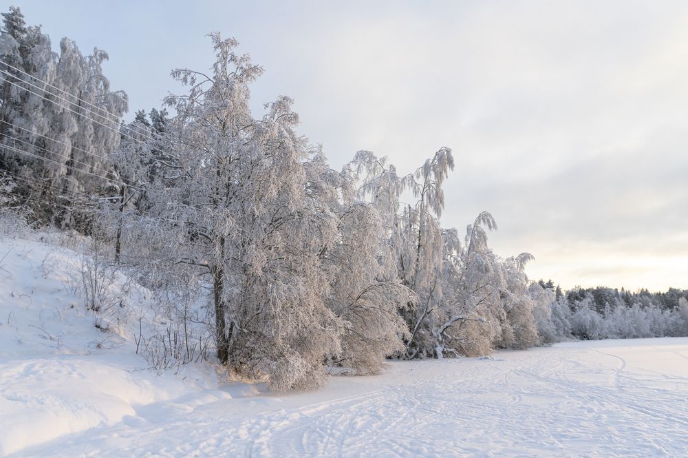 Photograph by Владимир Муровец