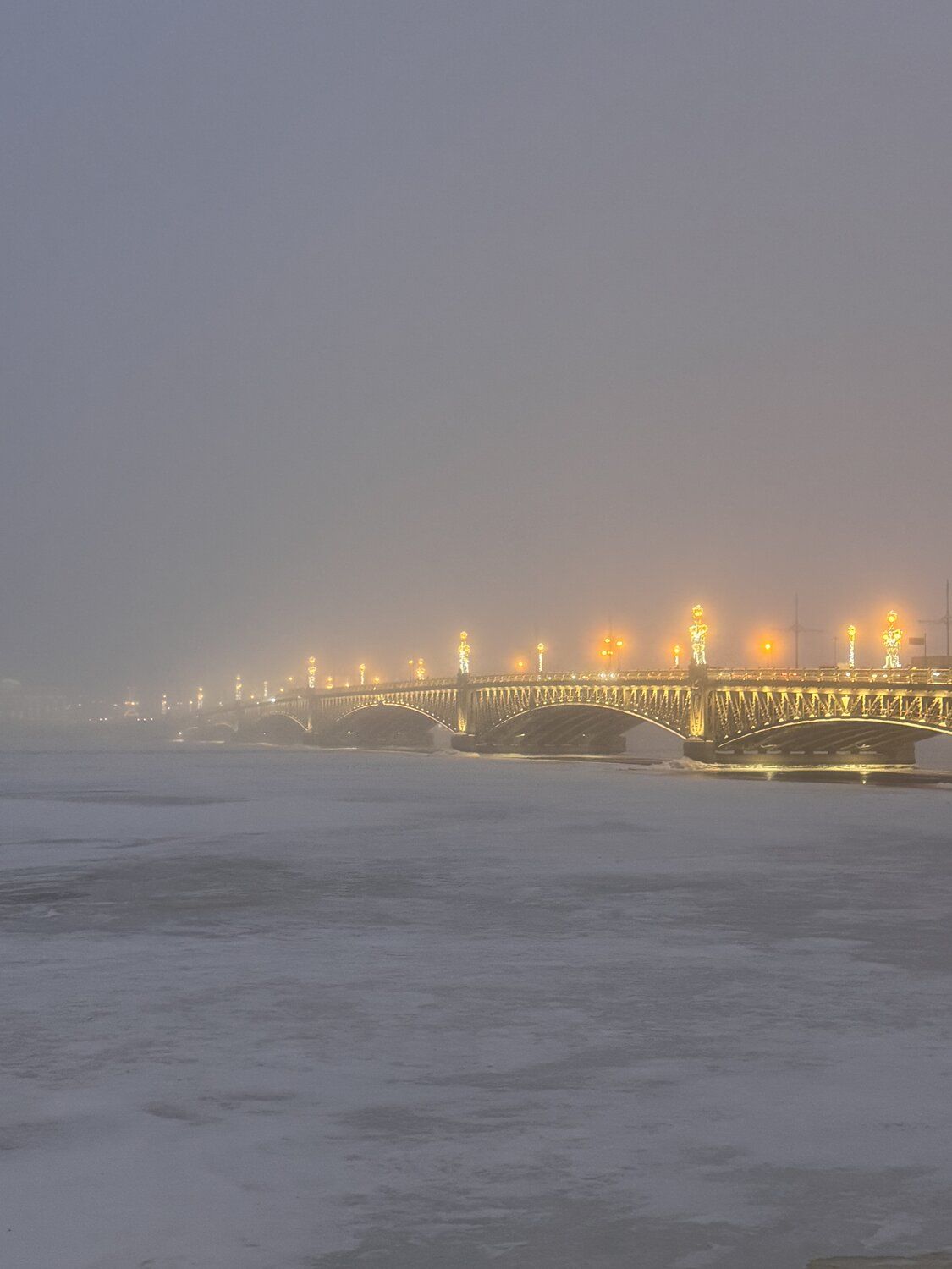 Photo #13334490