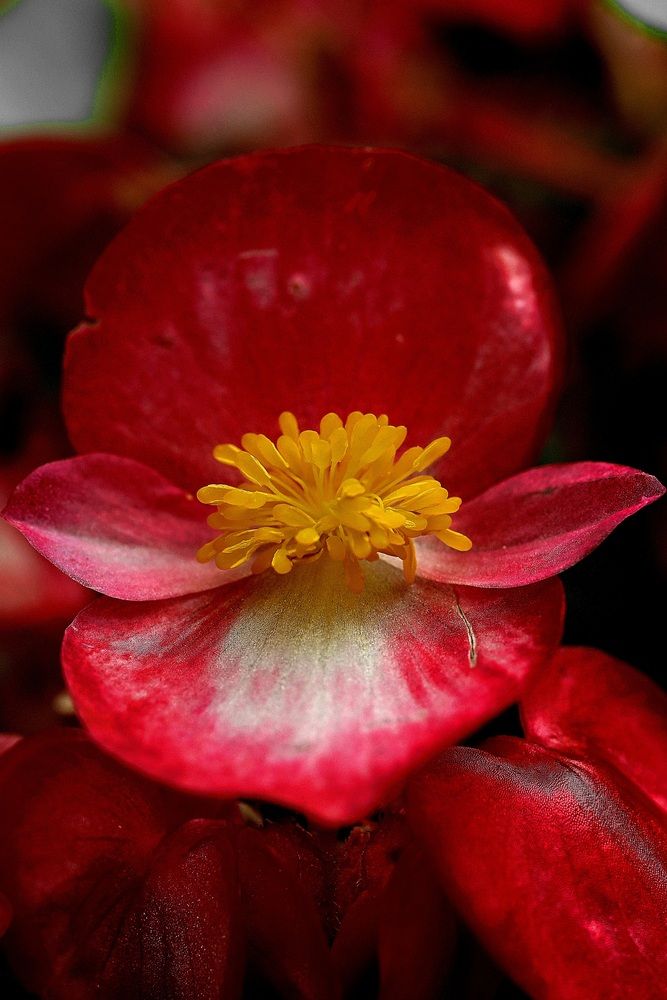 Photograph by Егор Жук