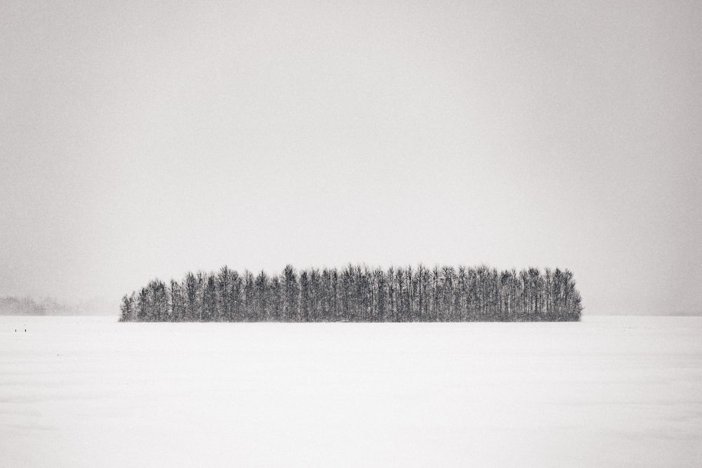Photograph by Елена Лонькина