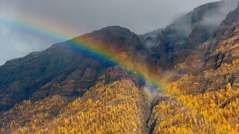 Photograph by Пешков Валерий