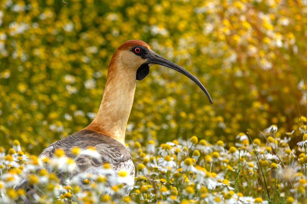 Photograph by Иван Кирсанов