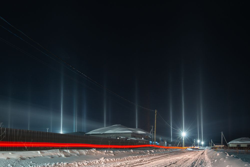 Вертикаль и горизонталь зимы