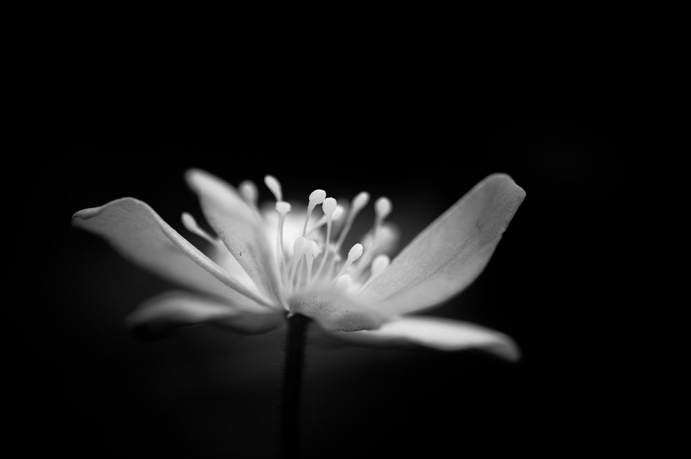 Photograph by Оксана О.