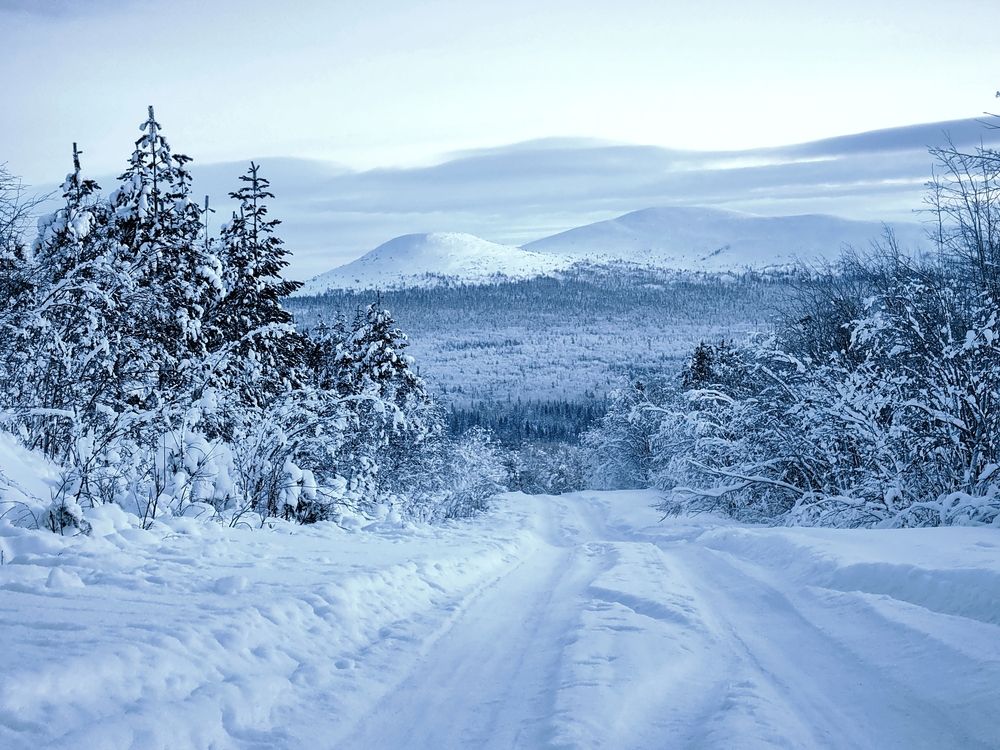 Photograph by OLGA MIKHNEVICH