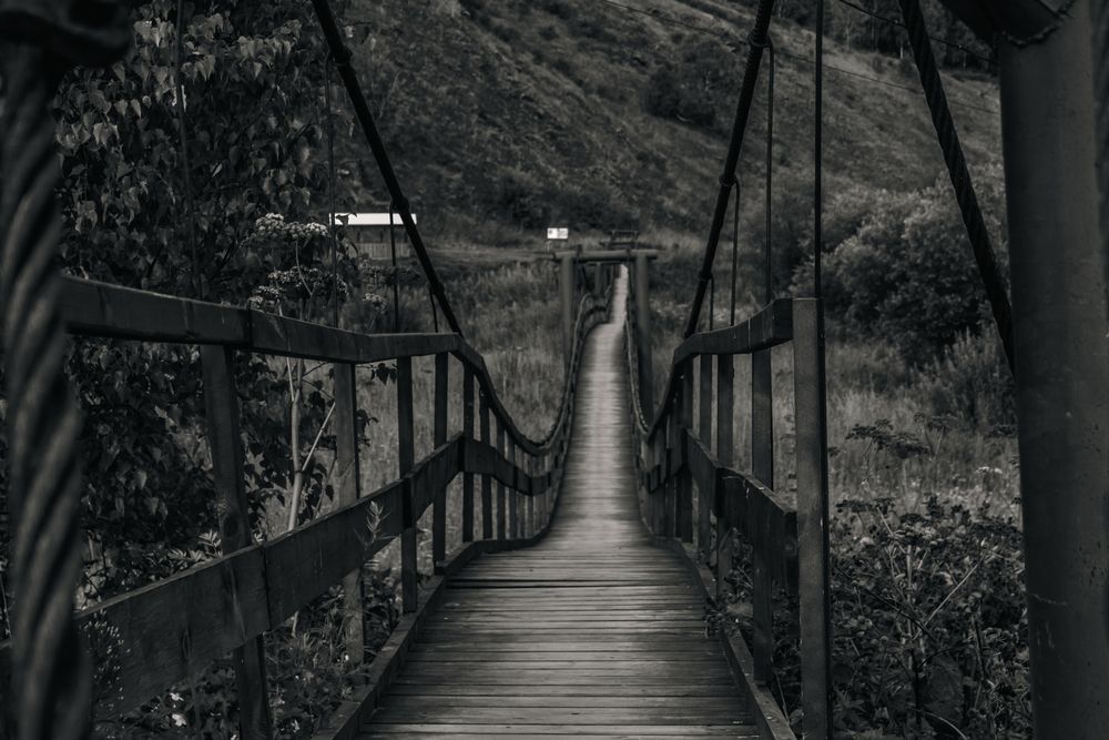 Photograph by Елизавета Колесникова