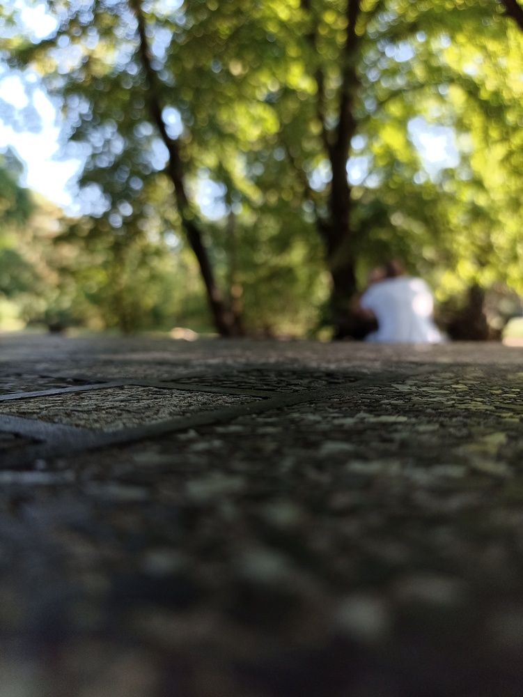 Photograph by Viktoryia М