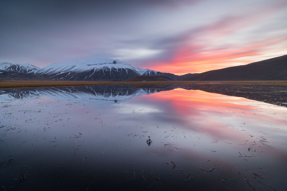 Photograph by Pierluigi Nisi