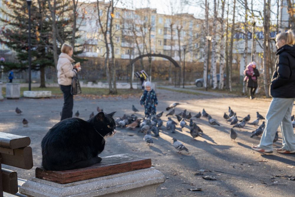 Photograph by Евгения Ковригина