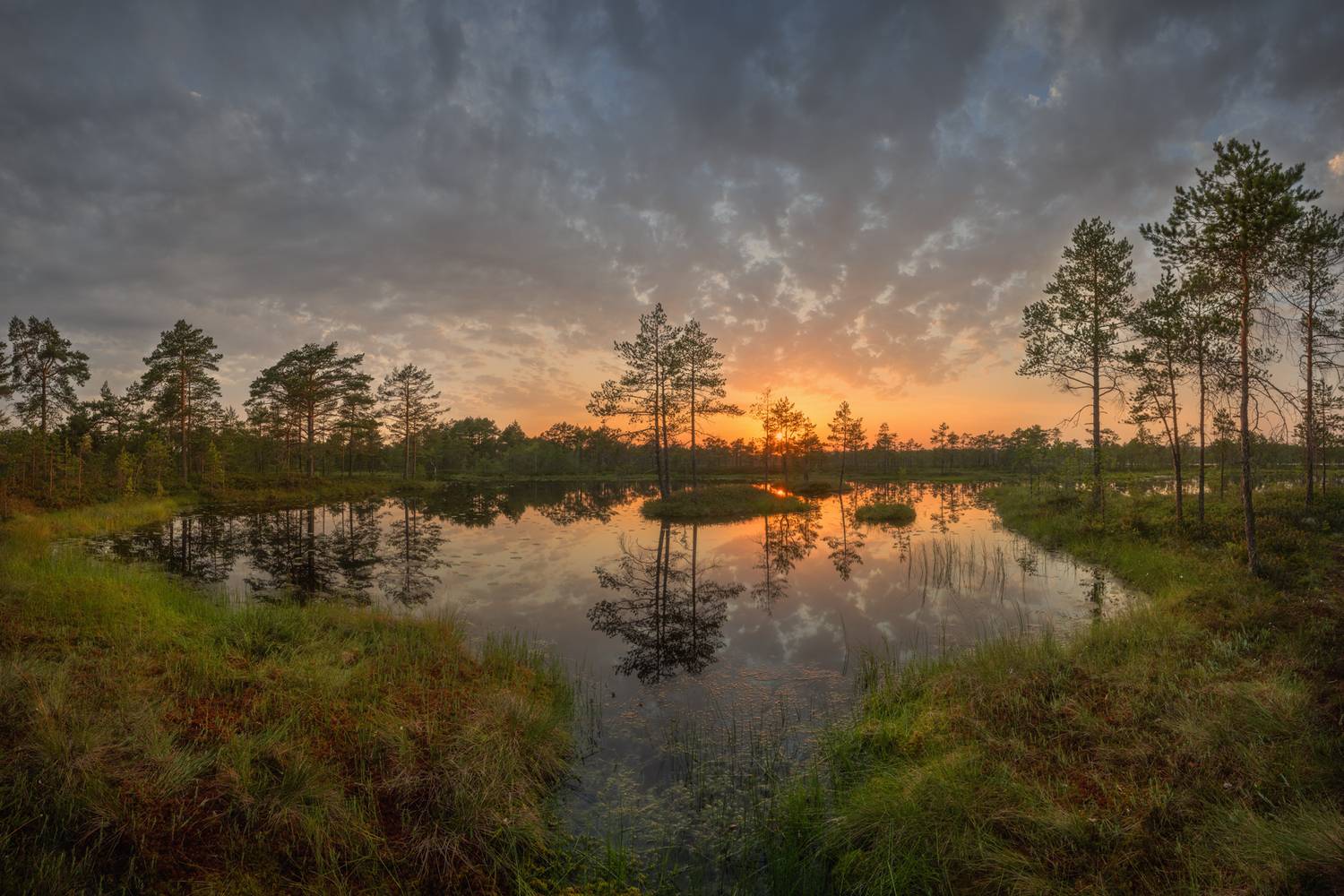 Фотография #13334972