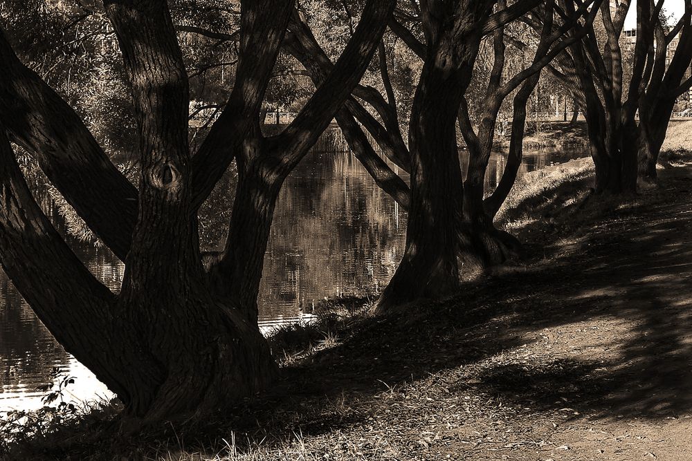 Photograph by Игорь Бессонов