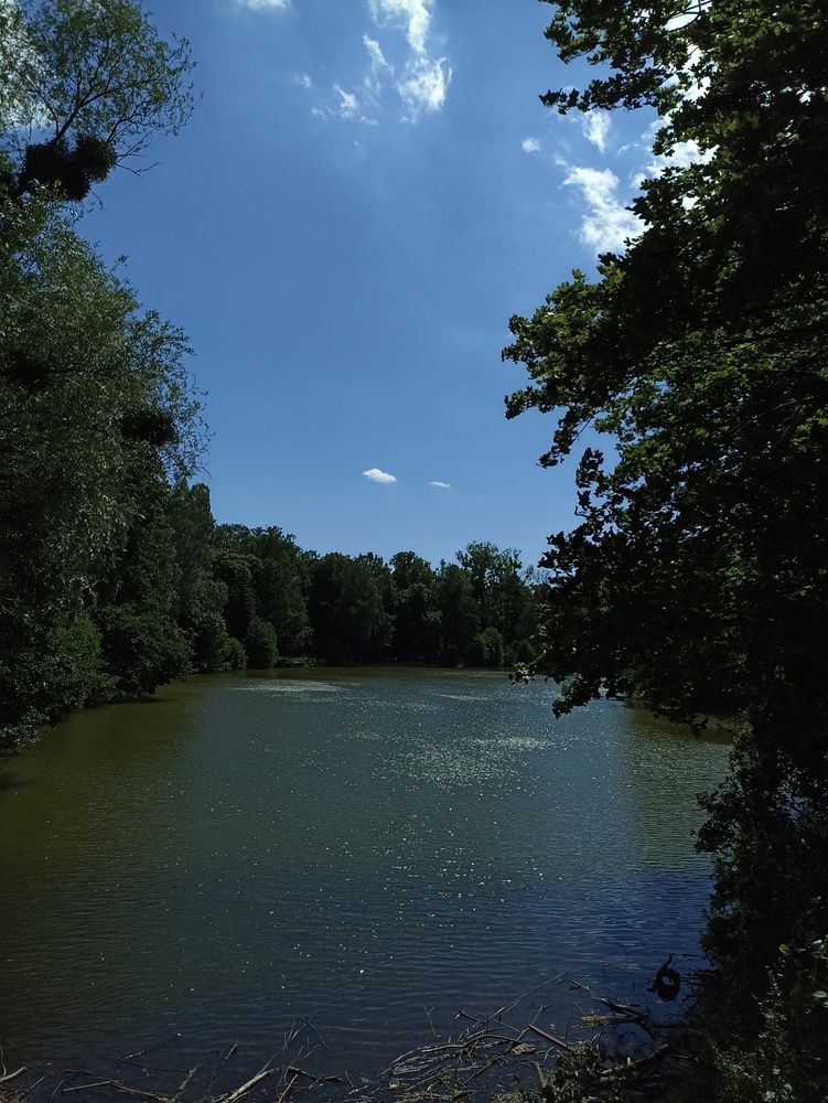 Photograph by Viktoryia М