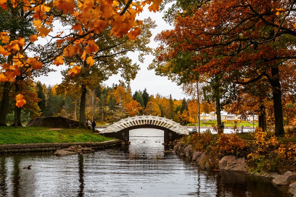 Photograph by Наталья Колеватова