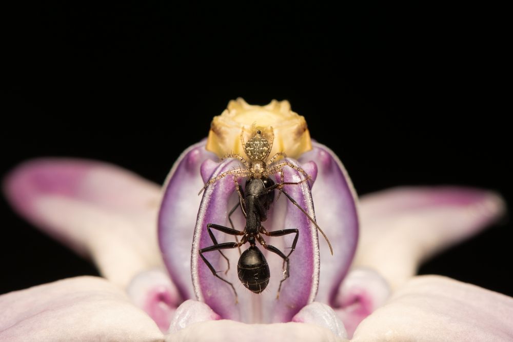 Photograph by ARUNAVA DEY