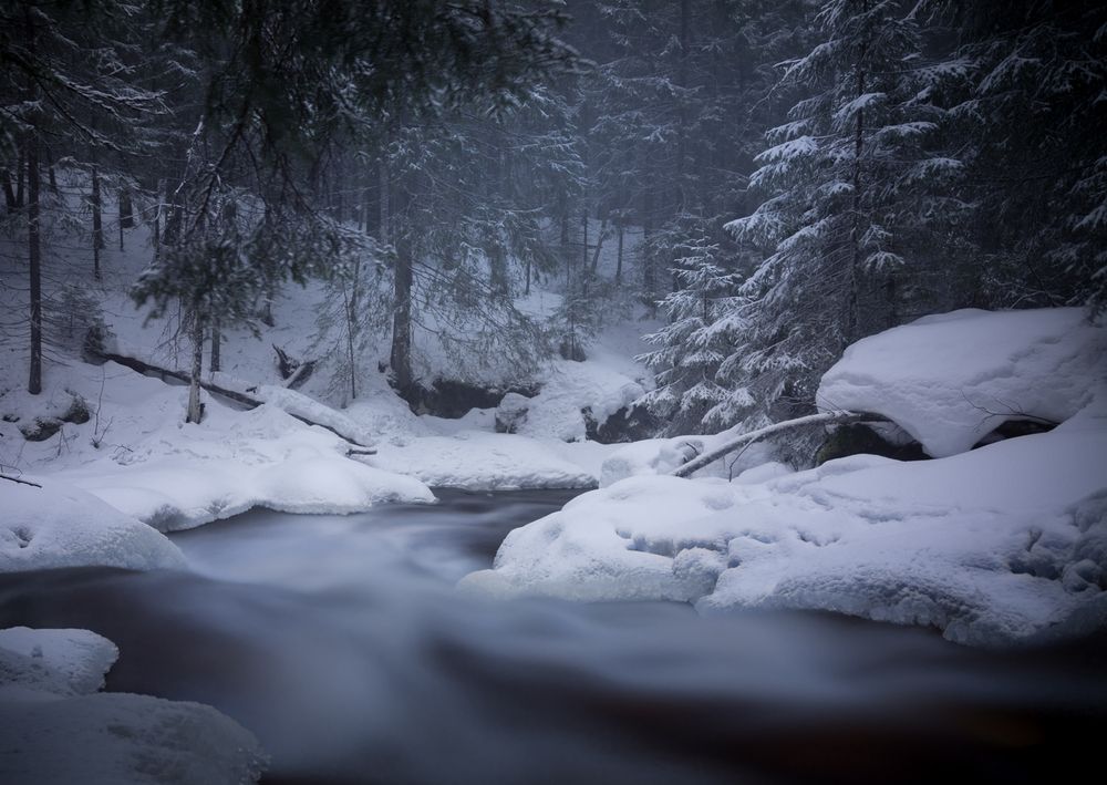 Photograph by Фабричный Роман