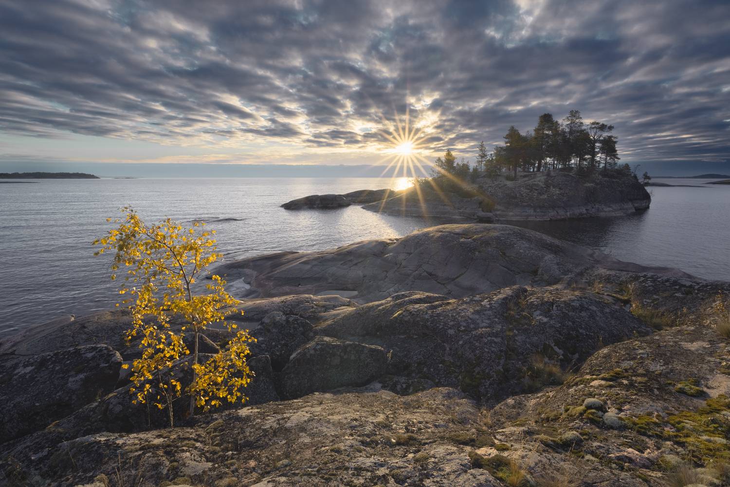 Фотография #13335162