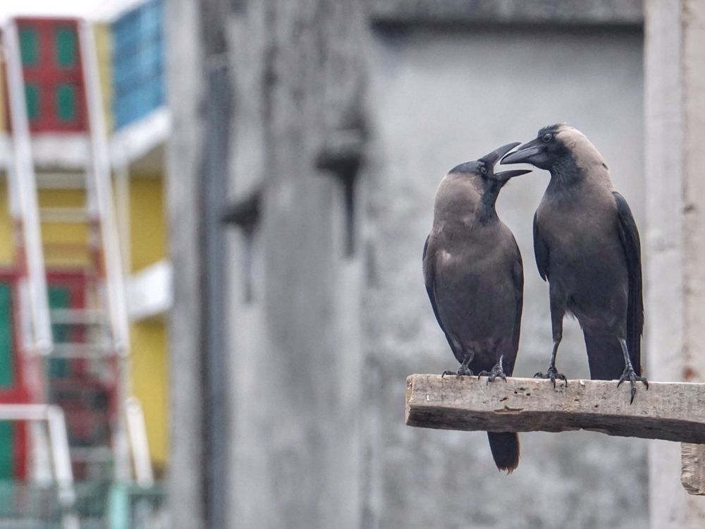 Photograph by Washiful Majid