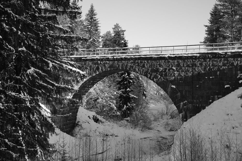 Photograph by Юлия Овчинникова