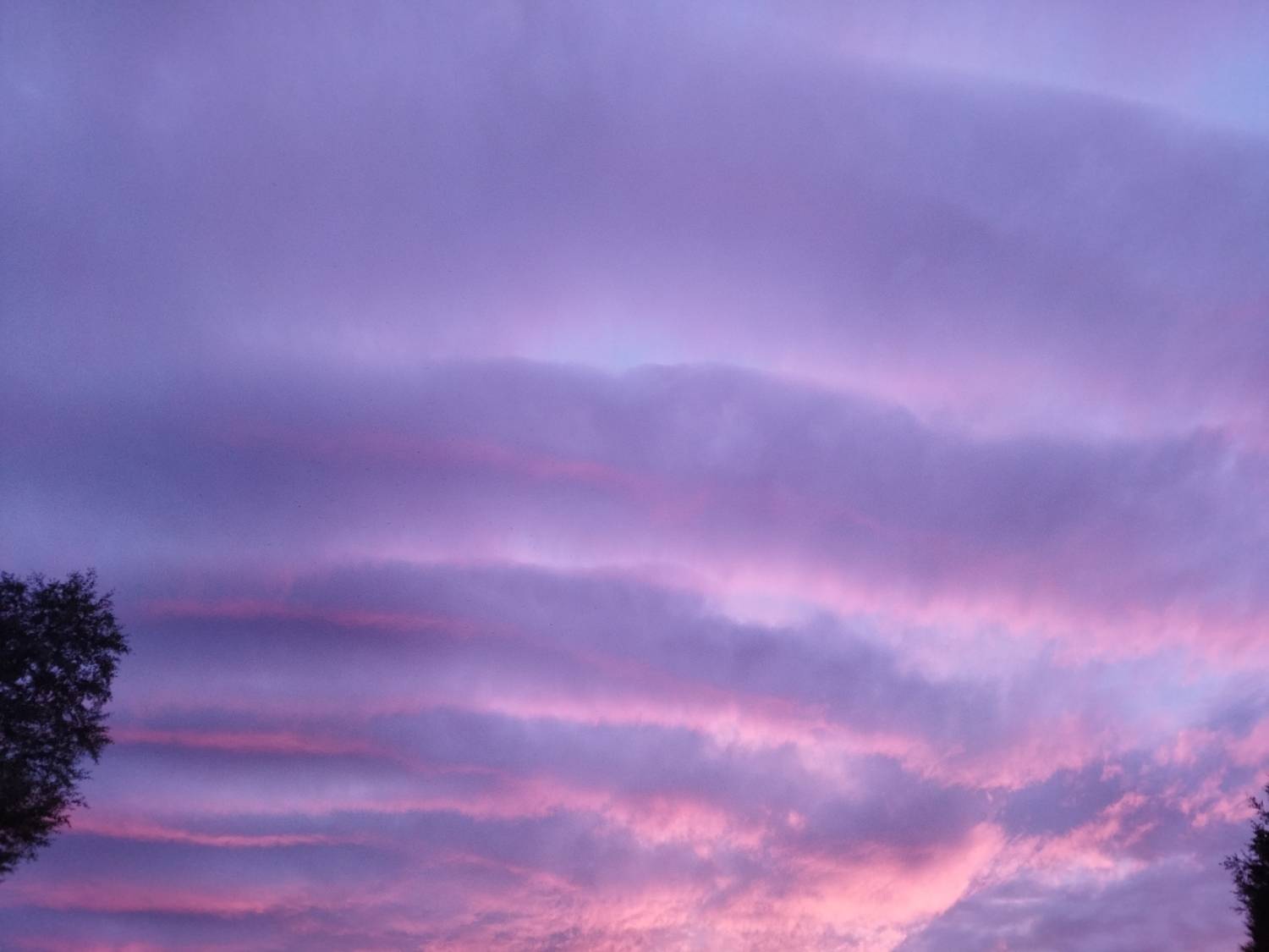 Photo #13335326