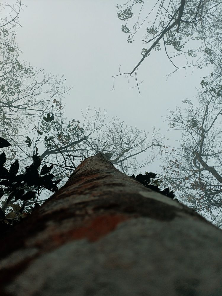 Photograph by Vinoth