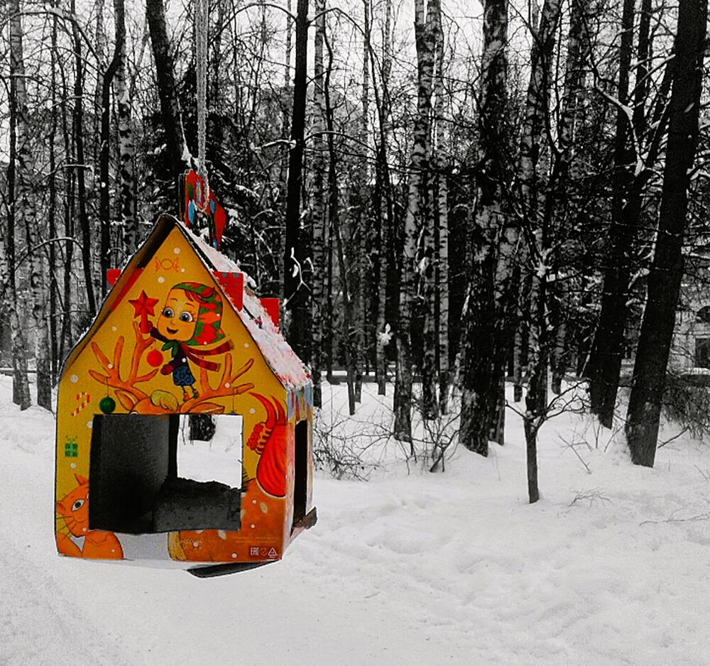 Photograph by Назифе Идилли Озкол