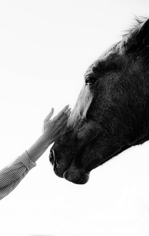 Photograph by Станислав Кушнаренко