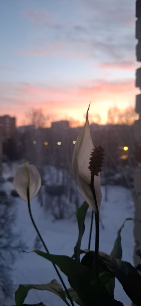 Photograph by Наталья Пирогова