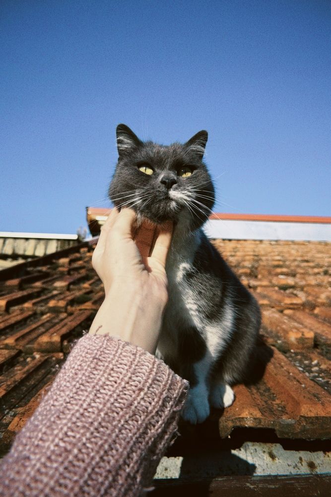 Photograph by Татьяна Терлецкая