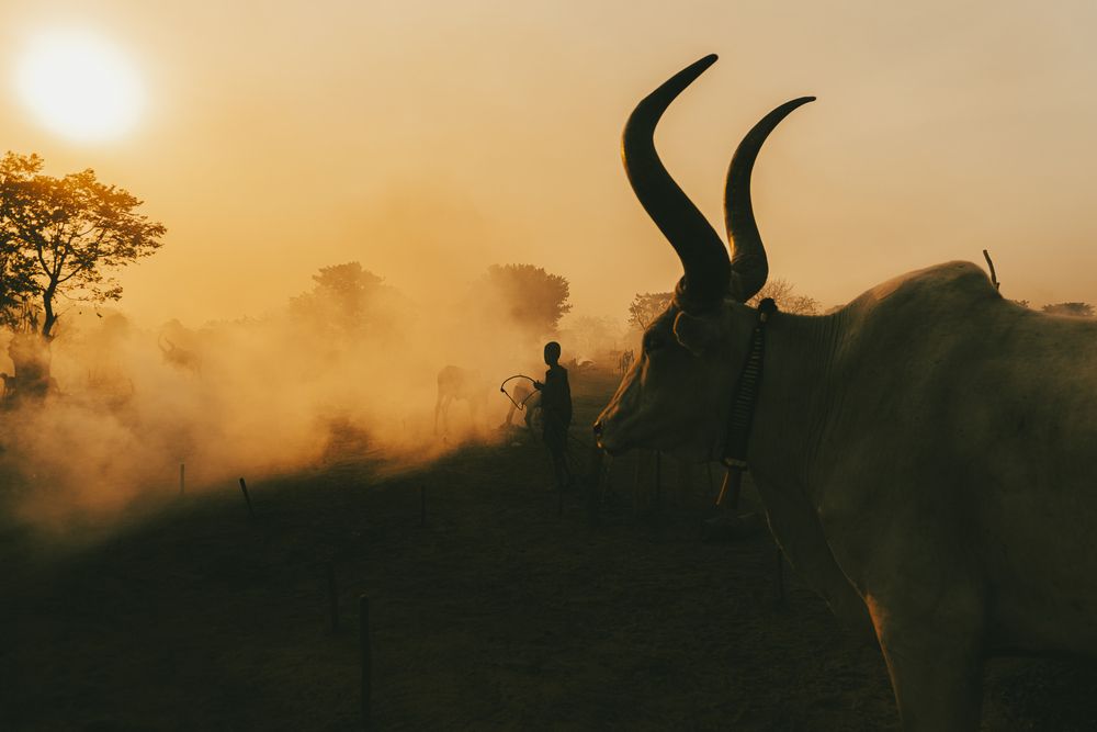 Giants Among the Golden Dust