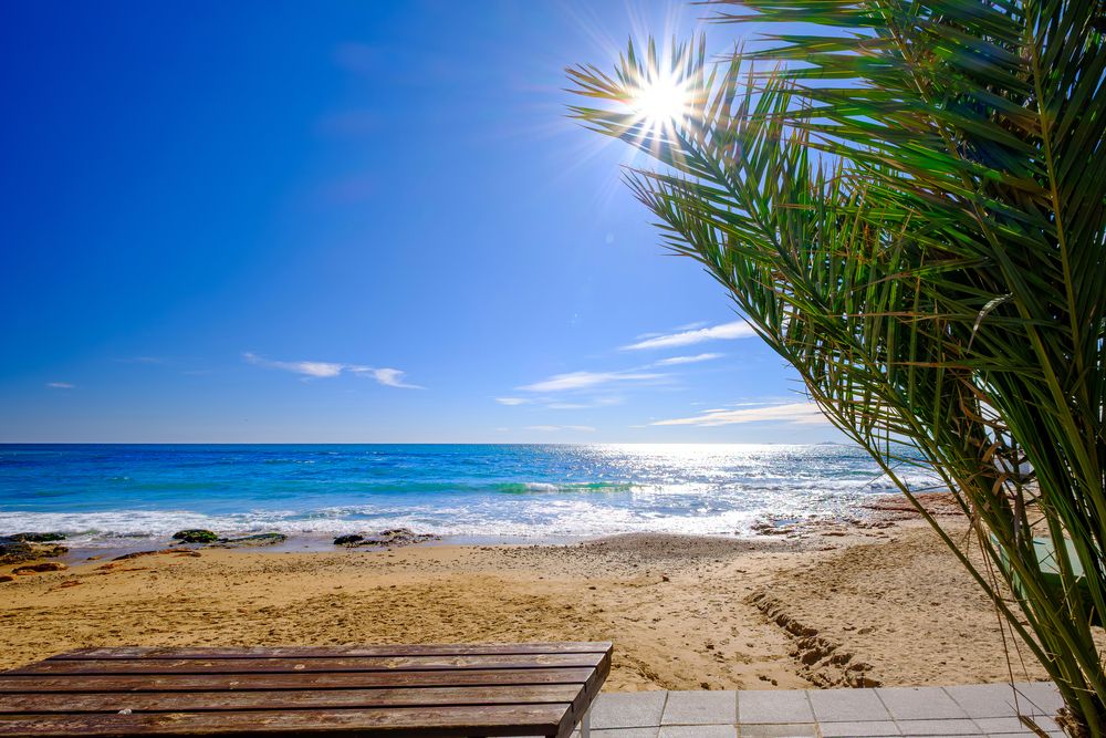 Море, солнце и пальма