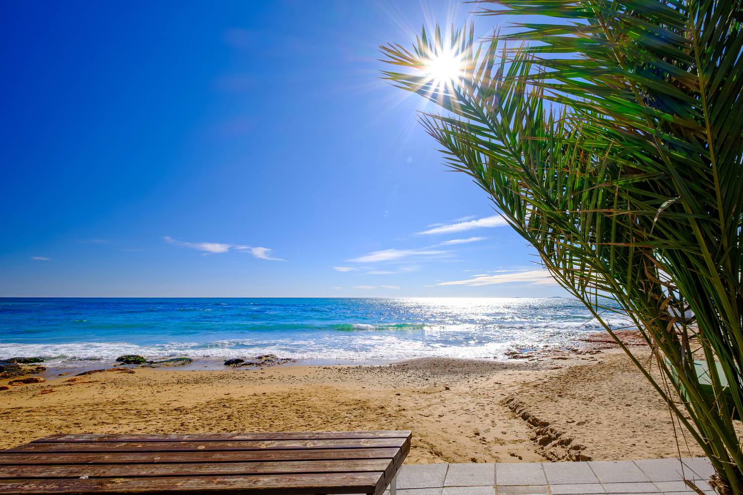 Море, солнце и пальма