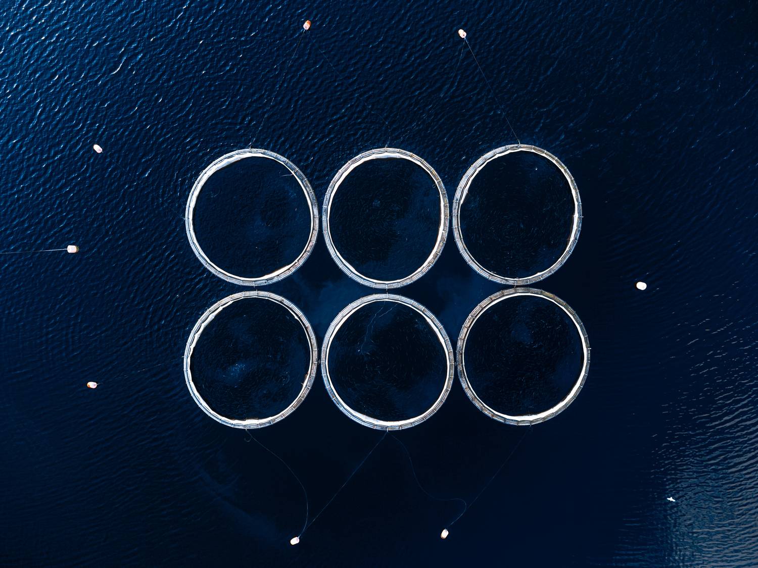 Фотография #13335515