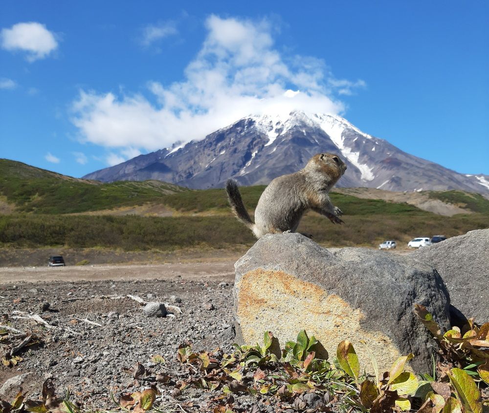 Photograph by Оксана О.