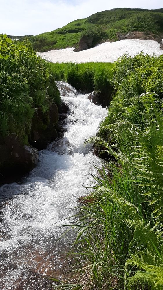 Photograph by Оксана О.