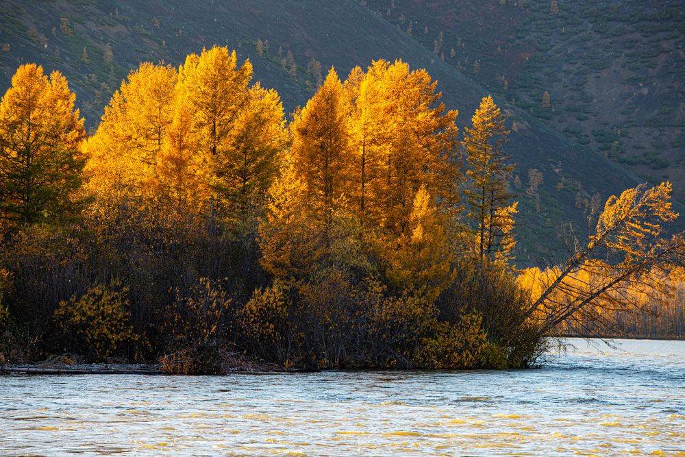 Photograph by Олег