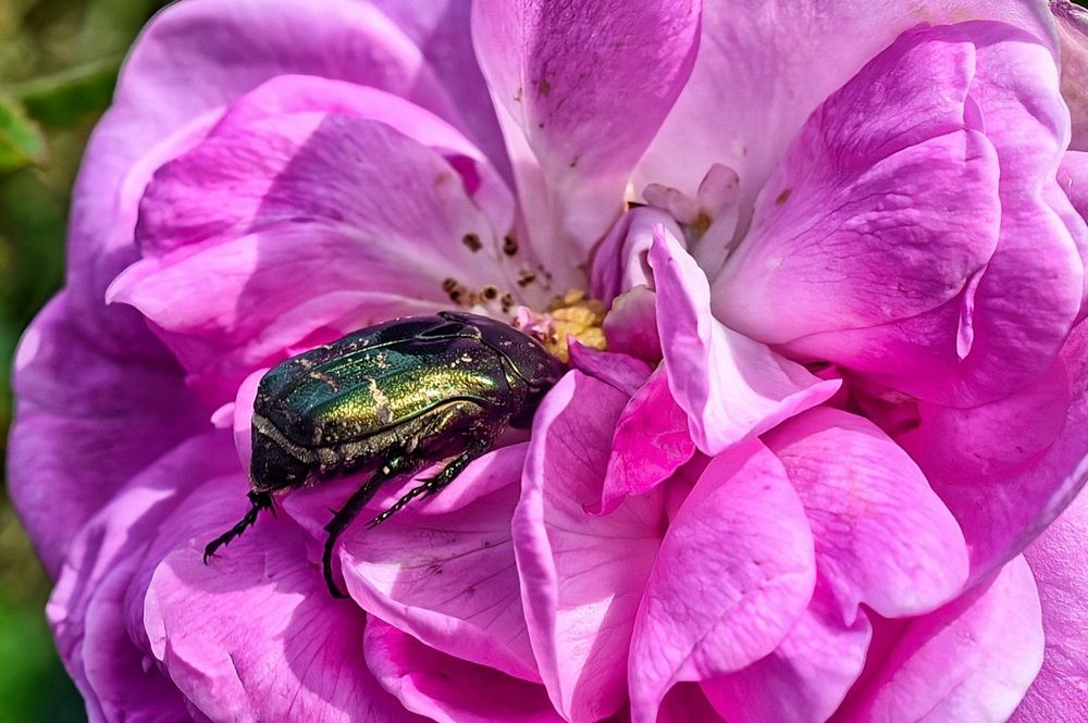 Photograph by Оксана Вадалагина