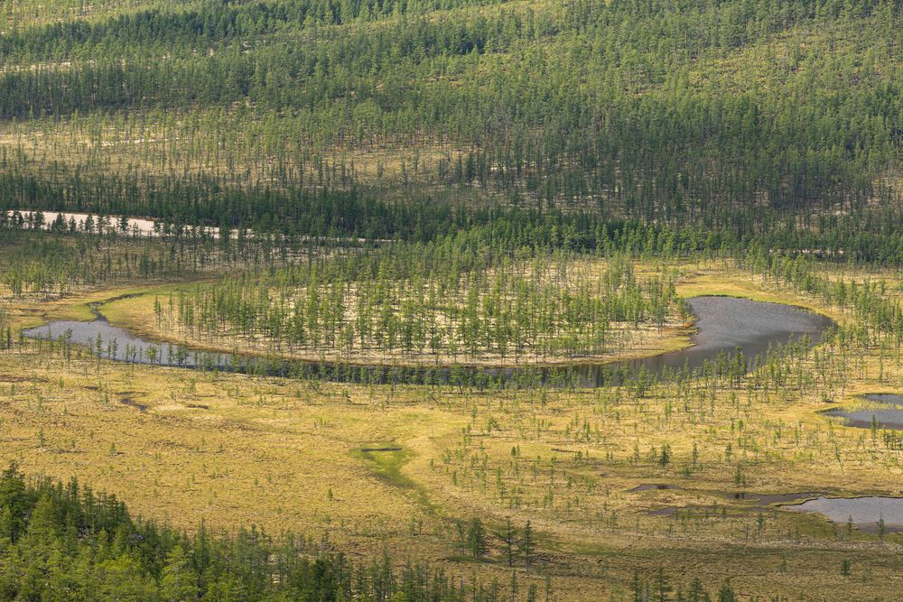 Photograph by Олег