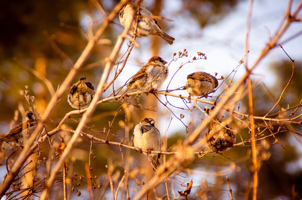 Photograph by Евгений Сеничев
