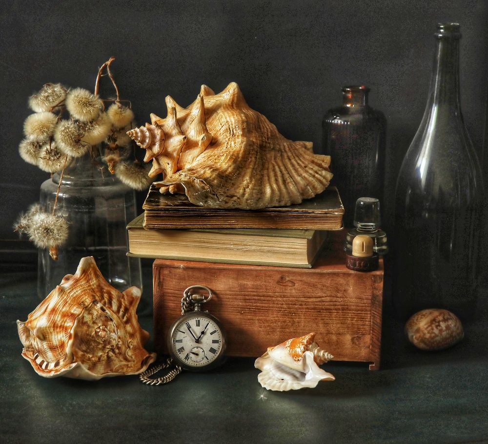 Photograph by Angelica Medvedeva