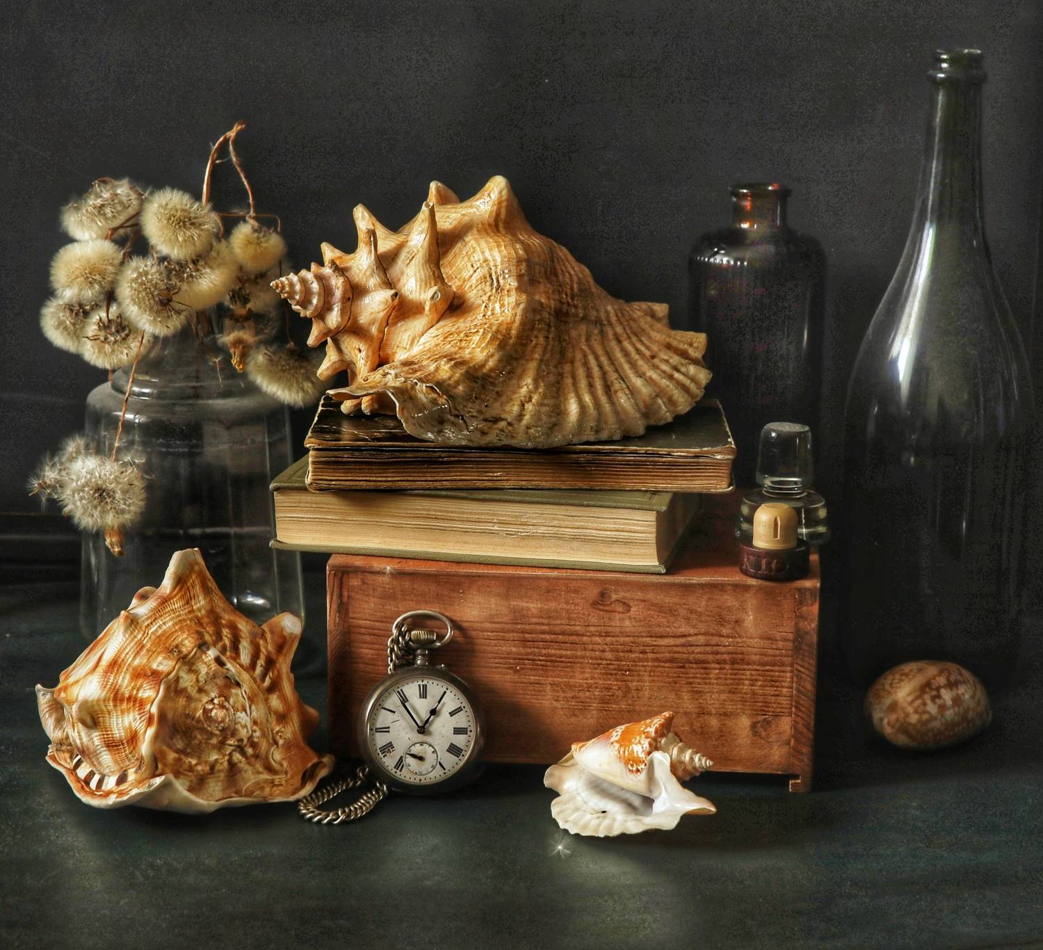 Фотография #13335749