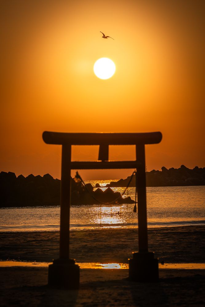 Photograph by photo_booooy
